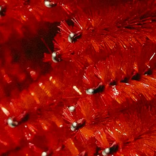 Lash Tribe Infill (Classy Classic) at S.H.E.O Salon in Pleasanton, CA